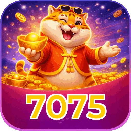 Métodos de pagamento aceitos na 7075